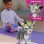 Giocattolo interattivo FurReal Daisy Capra Yoga sonoro multicolore