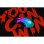Ratón CANYON Braver GM-728 Gaming Cabo 12800 DPI RGB Preto Transparente