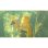Zelda Breath of the Wild Nintendo Switch 2 Edition + Funda Ardistel Deluxe Travel Zelda