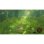 Zelda Breath of the Wild Nintendo Switch 2 Edition + Funda Ardistel Deluxe Travel Zelda
