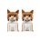LEGO Ideas Gato Naranja 21376 1755 peças