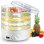 Déshydrateur alimentaire Niewiadów 970.02 600W 5 plateaux régulation température
