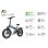 Bicicleta Eléctrica Pixar F2 250W 48V 15Ah Freno Disco Verde