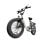 Velo Electrique Urlife E20 250W 48V13Ah 20 pouces