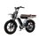 Bicicleta Eléctrica Velopro M9 250W 48V 35Ah Ruedas Anchas