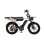 Bicicleta Eléctrica Velopro M9 250W 48V 35Ah Ruedas Anchas