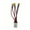 Módulo de Gestión de Doble Batería TOURUP 20V-55V 40A XT60
