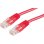 Câble Patch Réseau Secomp CAT6 0,5 m Rouge UTP