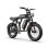 Bicicleta Eléctrica URLIFE T2 250W Batería 48V 15.6Ah 20" Todoterreno