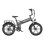 Elektrische Fiets Koolux X12 Pro 750W 48V 15Ah 20 Inch Banden Grijs Rood