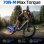 Velo electrique TTGO F7 250W 48V 15Ah 20 pouces