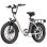 Velo electrique Urlife E20 Adultes 250W 60 km