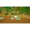 PAW PATROL MUNDO DINO SWITCH 2