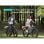 Vélo électrique ENGWE E26 ST Vert 250 W 48 V 16 Ah 26 x 4.0
