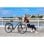 Bicicleta Eléctrica Pixar CITY 1 Plateada 250W 36V 120 km Shimano 7v