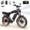 Velo electrique Aairsk X5 Batterie 48V 15Ah