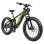 Velo Electrique Cyrusher Ranger 2.0 Verte