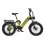 Vélo électrique Cyrusher Kommoda Pro 250W Vert pneus larges 20"