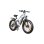Velo electrique tout-terrain Varun S26-1 48V 16Ah