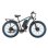 Velo Electrique Sinohon X26 Moteur Double