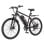 Bicicleta Eléctrica Sinohon EM200D con Batería Amovible 36V 10,4Ah