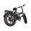 Bicicleta eléctrica Baolujie DZ2002 20" neumáticos anchos 48 V 16 Ah