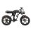 Bicicleta Eléctrica Sinohon AB20 1000W 48V 18Ah Off-road