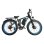 Bicicleta Eléctrica Montaña Baolujie DP2603 Motor Doble 52V 32Ah Suspensión Total