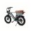 Elektrisches Fahrrad Yangor Y20 Plus Vollfederung Shimano 7 Gänge