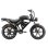 Vélo électrique Sinohon MK20-D tout-terrain 48V 18Ah batterie