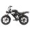 Vélo électrique Sinohon MK20-D tout-terrain 48V 18Ah batterie