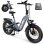 Elektrische fiets iScooter EB8 500W 48V15Ah 20x4.0 Hydraulische schijfremmen