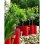 Riviera Granit runder Pflanztopf 30 cm rot doppelte Wand Wasserretention UV-Schutz