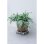 Desserte rotative Nature pour plantes diametre 38 cm FSC