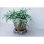 Desserte rotative Nature pour plantes diametre 38 cm FSC
