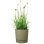 Maceta Garden ID Lino ronde avec réservoir 43 L vert mousse 47 cm
