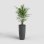 Pot Santorini Artevasi Auto-arrosage Anthracite Brillant 65 cm