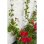 Kit Tensores Invisibles Nature 10 m Ø1,8 mm Plantas Trepadoras