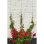 Kit Tensores Invisibles Nature 10 m Ø1,8 mm Plantas Trepadoras
