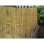 Pantalla de privacidad Nature Caña natural 1 x 3 m Beige