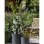 Maceta Garden ID Lino Redonda Autorregante Gris Pure 47x46 cm 43 L Plástico Reciclado