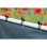 Lazo elastique Nature 10 ball ends