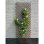 Ausziehbares Rankgitter Nature FSC Braun Metallstift 60x180