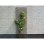 Ausziehbares Rankgitter Nature FSC Braun Metallstift 60x180