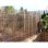 Pantalla Decorativa Canisse de Caña Natural Nature 3 x 1 m Marrón