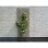 Treillis extensible Nature Bois Osier Rombes Marron 30x180 cm