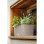 Pflanzgefäß LECHUZA Balconera Cottage 50 mit Selbstbewässerung 8 L Sandbraun