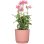 Macetero Garden ID Lino Rosa Redondo 25 cm 7 L