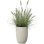 Pote Elho Sereh Tall 30 Bege 22 L para interior e exterior