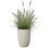 Pote Elho Sereh Tall 30 Bege 22 L para interior e exterior